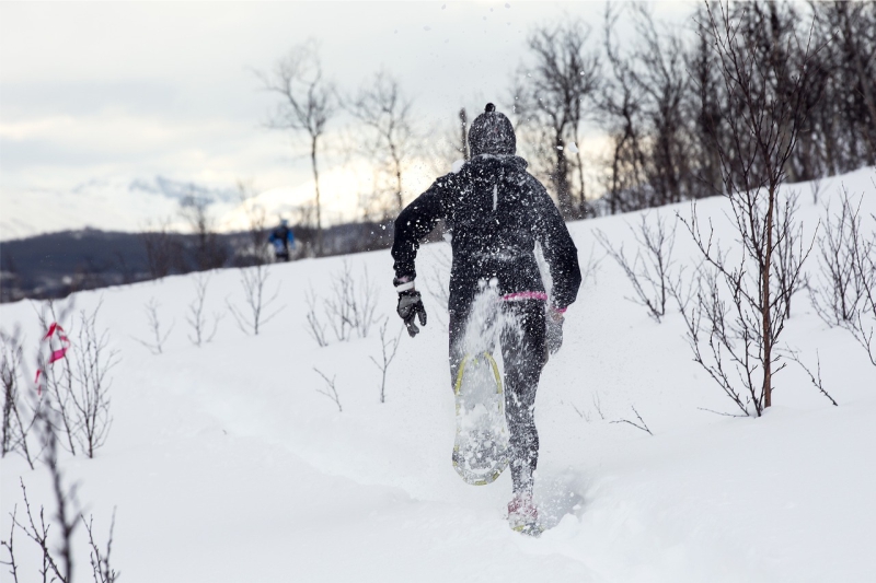 snowshoeing portsmouth